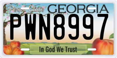GA license plate PWN8997