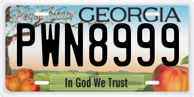 GA license plate PWN8999