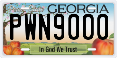 GA license plate PWN9000