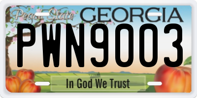 GA license plate PWN9003