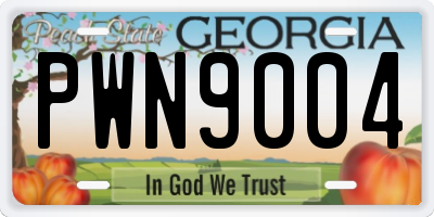 GA license plate PWN9004