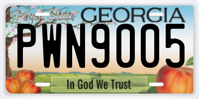GA license plate PWN9005