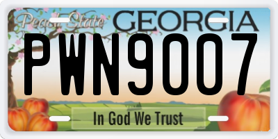 GA license plate PWN9007
