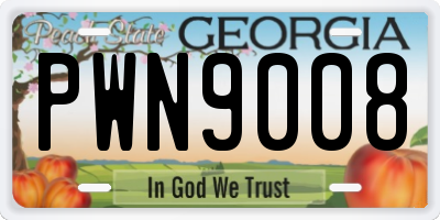 GA license plate PWN9008