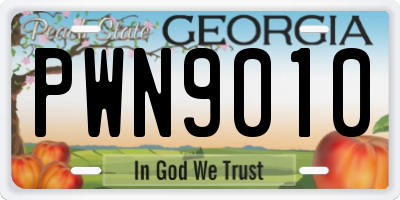 GA license plate PWN9010