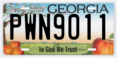 GA license plate PWN9011