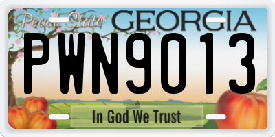 GA license plate PWN9013