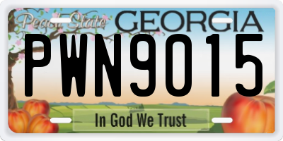 GA license plate PWN9015