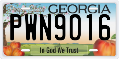 GA license plate PWN9016