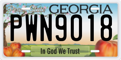 GA license plate PWN9018