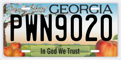 GA license plate PWN9020