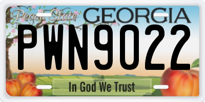 GA license plate PWN9022