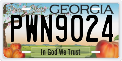 GA license plate PWN9024