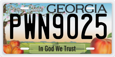 GA license plate PWN9025