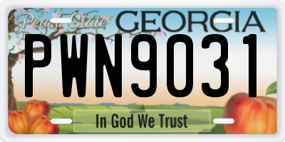 GA license plate PWN9031