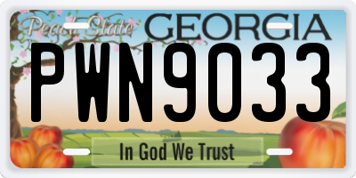 GA license plate PWN9033