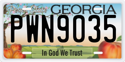 GA license plate PWN9035