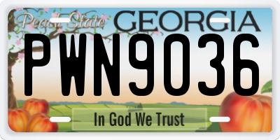 GA license plate PWN9036