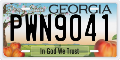 GA license plate PWN9041