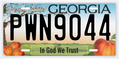 GA license plate PWN9044