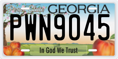 GA license plate PWN9045