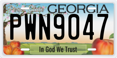 GA license plate PWN9047