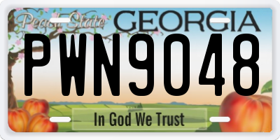 GA license plate PWN9048