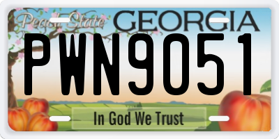 GA license plate PWN9051