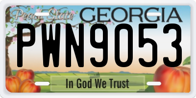 GA license plate PWN9053