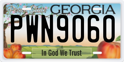 GA license plate PWN9060