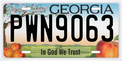 GA license plate PWN9063