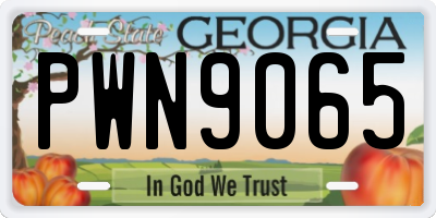 GA license plate PWN9065
