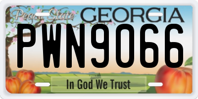 GA license plate PWN9066