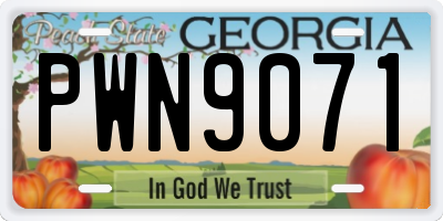GA license plate PWN9071