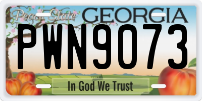 GA license plate PWN9073