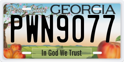 GA license plate PWN9077
