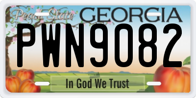 GA license plate PWN9082