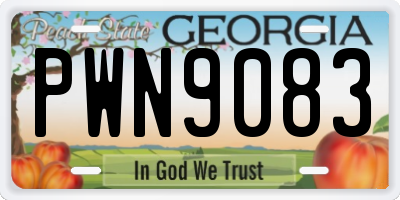 GA license plate PWN9083