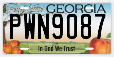 GA license plate PWN9087