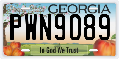 GA license plate PWN9089