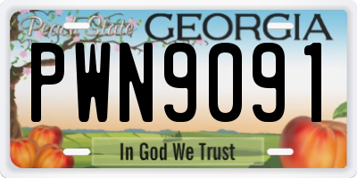 GA license plate PWN9091