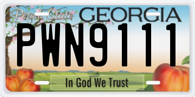 GA license plate PWN9111