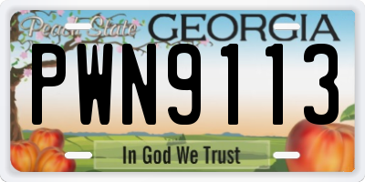 GA license plate PWN9113