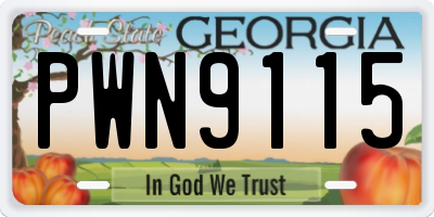 GA license plate PWN9115