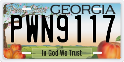GA license plate PWN9117