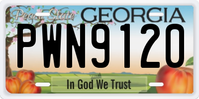 GA license plate PWN9120