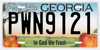GA license plate PWN9121