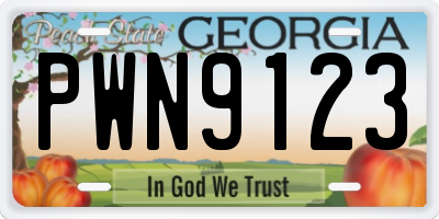 GA license plate PWN9123