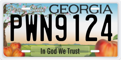 GA license plate PWN9124