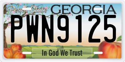 GA license plate PWN9125